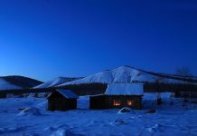 Sophy Chen’s Original Poem (C-E) : You Do Not Sleep, And I Dare Not Sleep《你不睡,我不敢入眠》