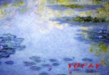 Sophy Poetry Translation C-E: Water Lily by PuDong,China, Chinese Poets' Poetry Series