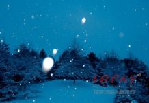 Sophy Original English Poetry (Sophy Origina English Haiku) : Cozy Life 苏菲英语三俳句