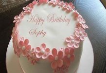 苏菲收到来自世界各地的生日祝福.Thanks for You!