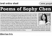 NewYork English Newspaper Punjabi Writer Weekly Published Poems Of Chinese Poet & Translator Sophy Chen