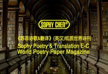 Detailed Column Rules Of Sophy Poetry & Translation E-C World Poetry Paper Magazine (Introduction) 苏菲世界纸刊栏目细则